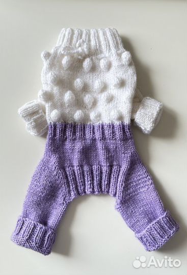 Комбинезон и шапочка для маленькой собаки вязаный