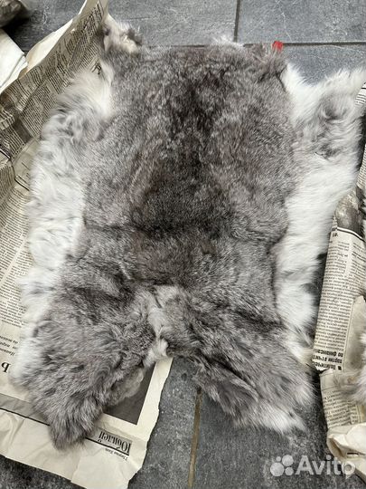 Шкурки кроличьи