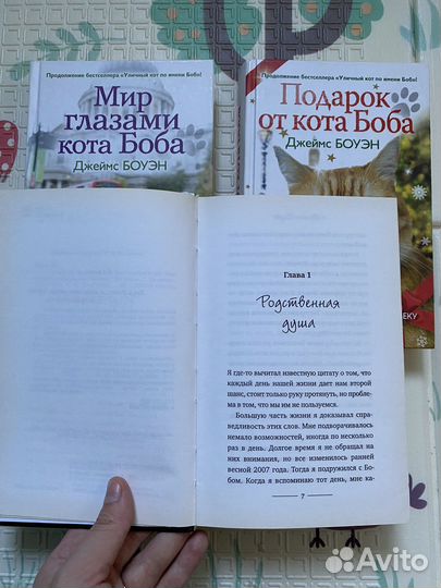 Уличный кот по имени боб