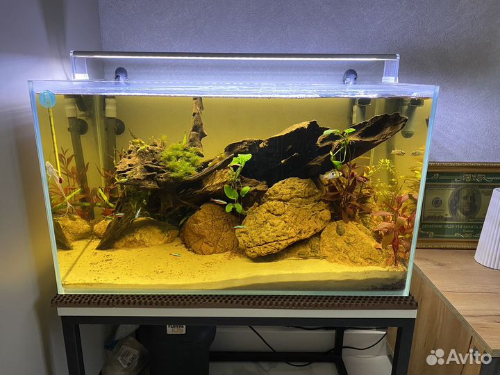 Аквариум