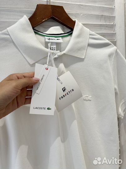 Поло Lacoste