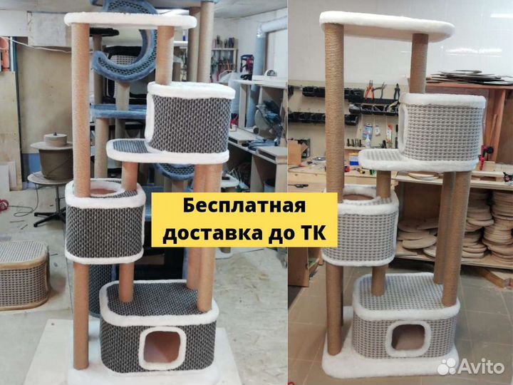 Когтеточка оптом
