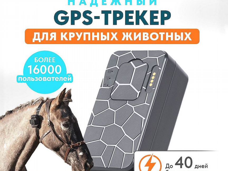 Gps трекер для лошадей