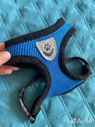 Шлейка для маленькой собаки