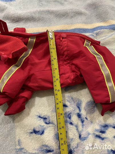 Одежда для собак