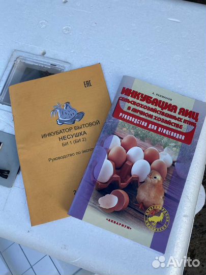 Инкубатор для яиц автоматический бу