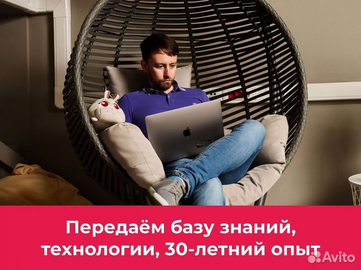 Франшиза BoxBerry без роялти, доход от 380.000 р