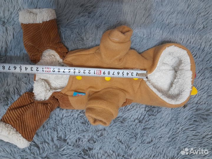 Одежда для собак