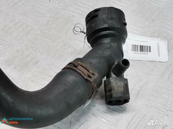 Патрубок радиатора Volkswagen Jetta 4 1999