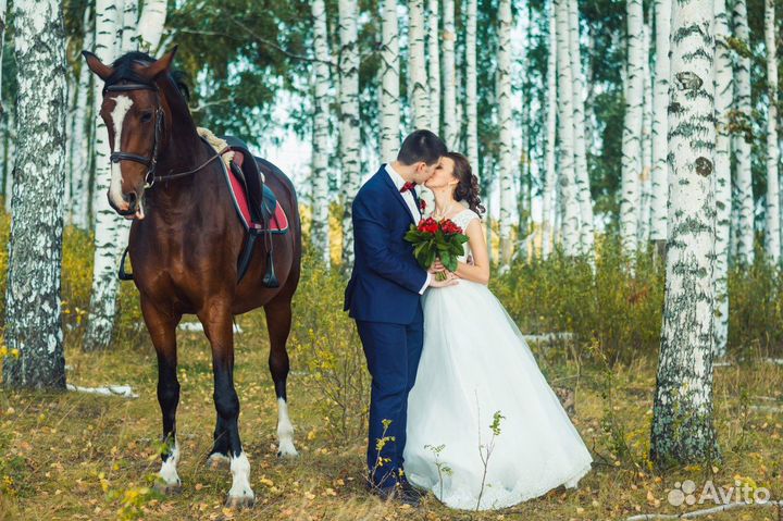 Фотограф и видеограф на свадьбу, юбилей, выпускной