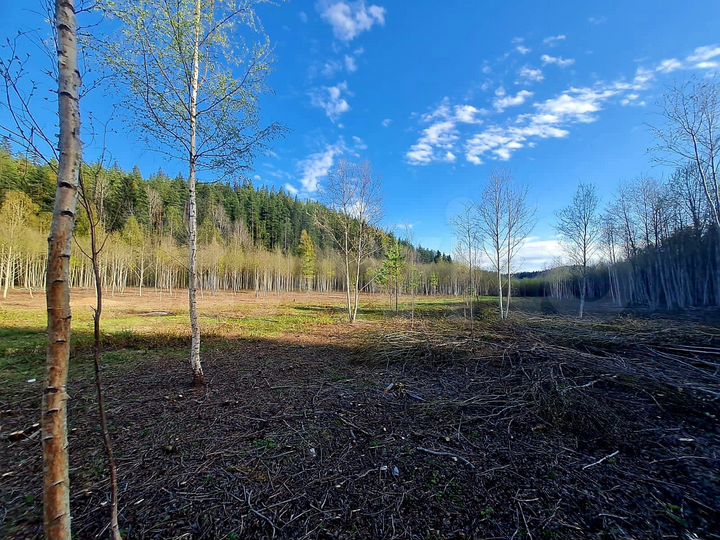 Участок 18,4 сот. (СНТ, ДНП)