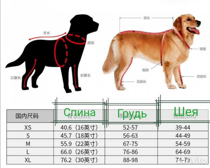 Попона для крупных собак