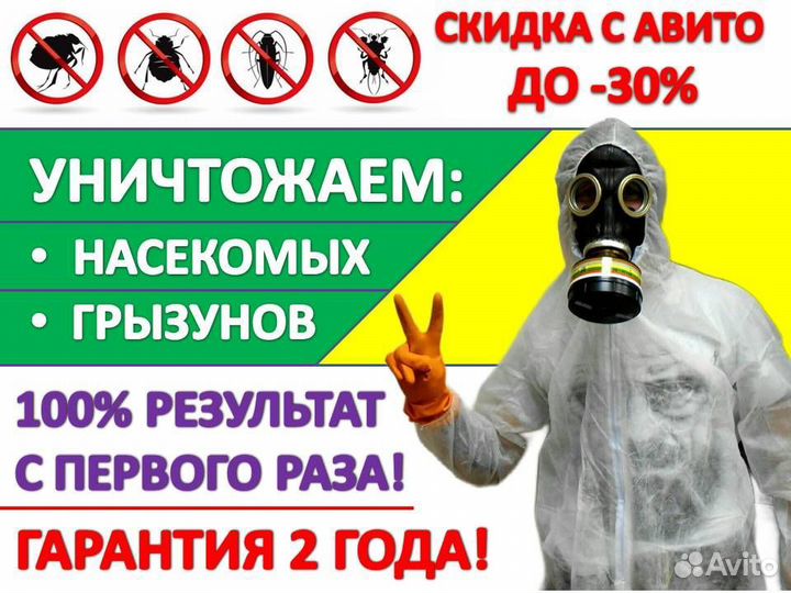 Уничтожение тараканов, клопов, блох, грызунов 24/7