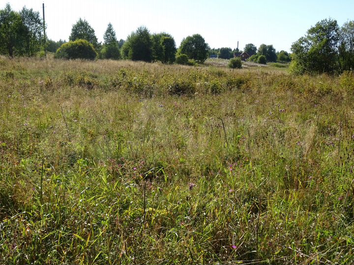 Участок 4,89 га (СНТ, ДНП)