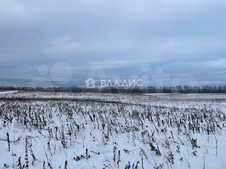 Участок 1,2 га (ИЖС)