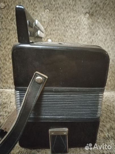 Гармонь Рябинушка