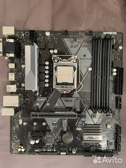 Материнская плата asus prime B365M-A