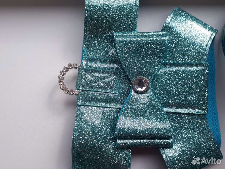 Ошейник и поводок