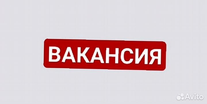 Водитель логист