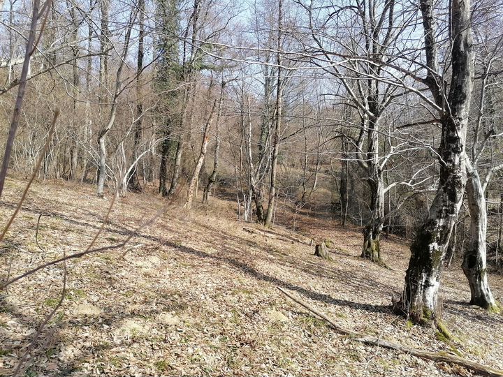 Участок 5 сот. (СНТ, ДНП)