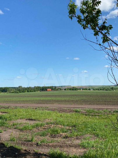 Дом 31,5 м² на участке 46,5 сот.