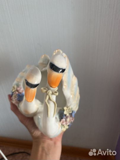 Хрустатьные лебеди