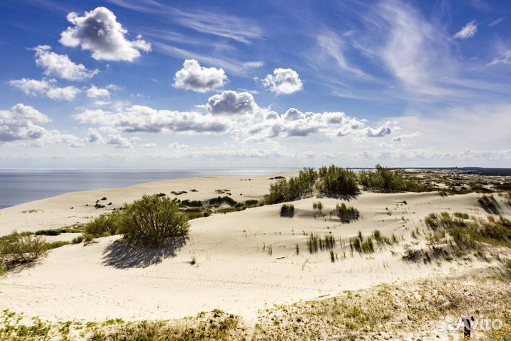Поездки на Куршскую косу