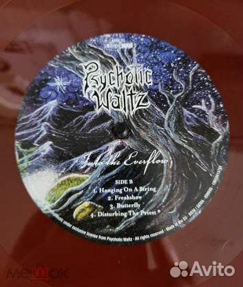 Psychotic Waltz - Into The Everflow RE LP