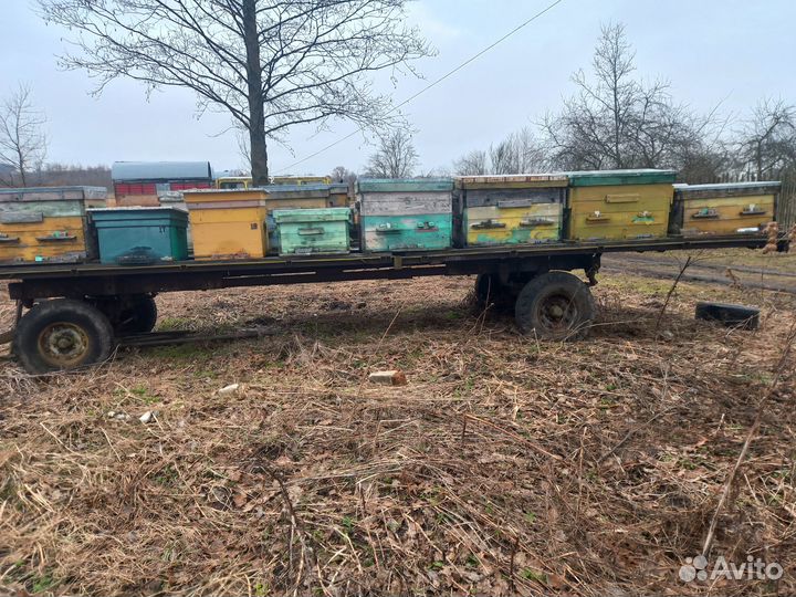 Продается пасека, ульи.рамки