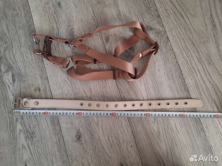 Комбинезон, шлейка trixie, ошейник для собаки