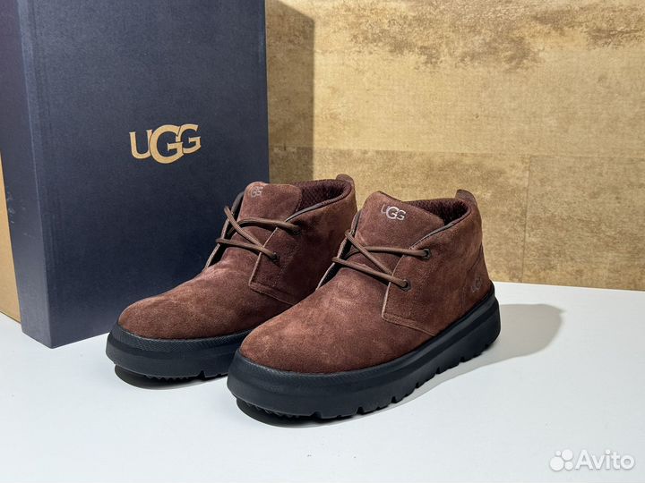 Ботинки зимние Ugg Burleigh Chukka Dusty Cocoa