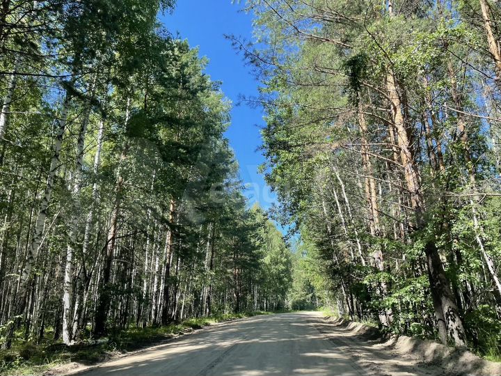 Участок 17,4 сот. (личное подсобное хозяйство (лпх))