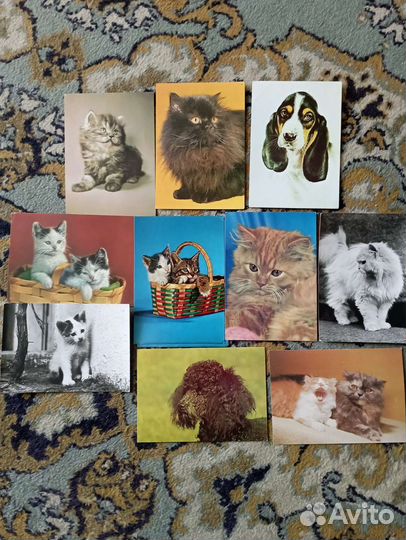 Различные открытки