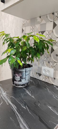 2-к. квартира, 52 м², 4/5 эт.