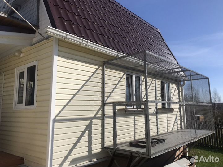 Голуби Пермские гривуны