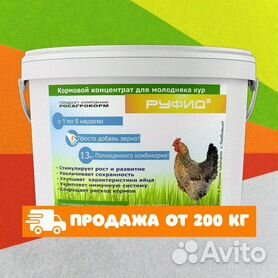 Как увеличить яйценоскость кур-несушек — luchistii-sudak.ru