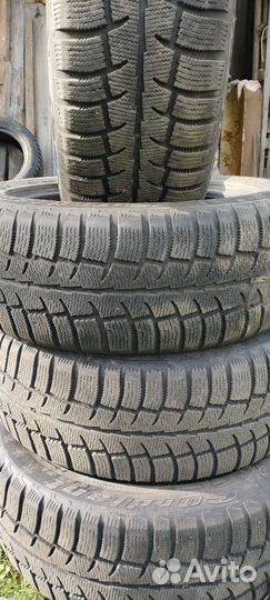 Cordiant Polar SL 205/55 R16