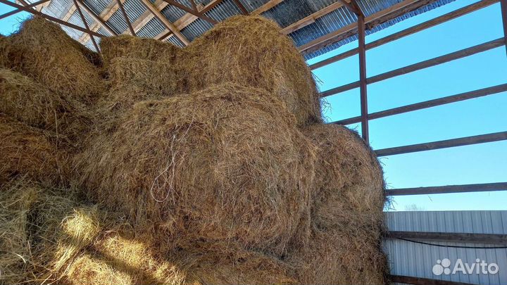 Сено