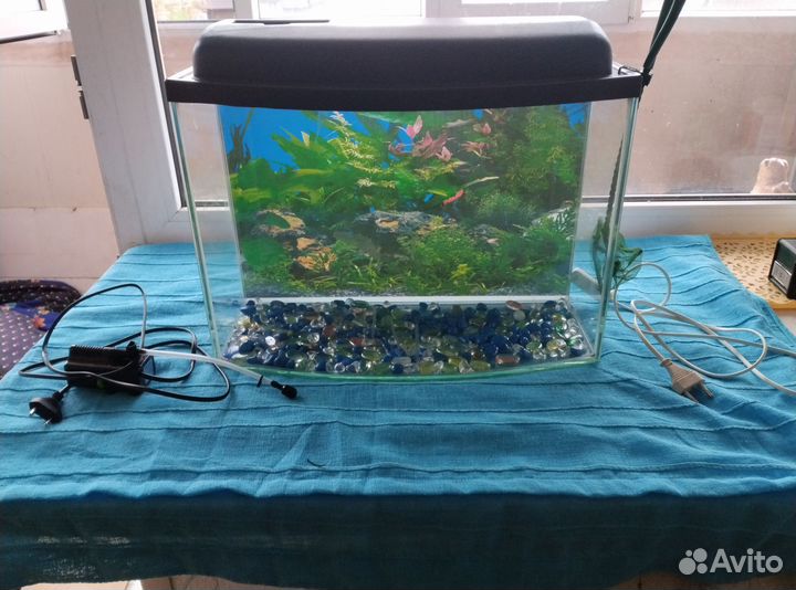 Аквариум