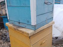 Продам ульи для пчел