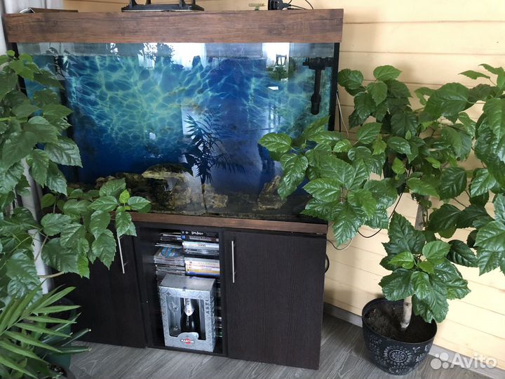 Аквариум с тумбой бу