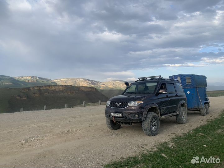 Перевозка лошадей