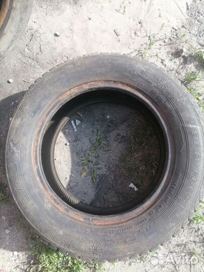 Gislaved Nord Frost 5 195/65 R15