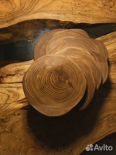 Спил дерева