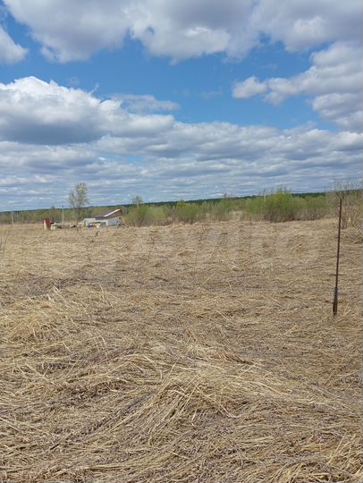 Участок 12 сот. (СНТ, ДНП)