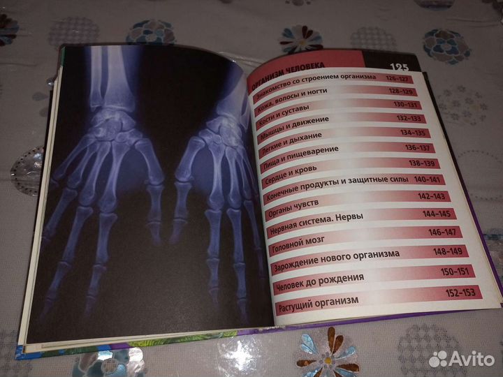 Энциклопедия 