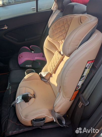 HappyBabyMustang
