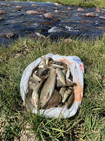 Участок 3,24 га (СНТ, ДНП)