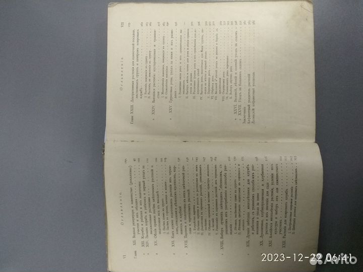 Дачный сад. П.И.Каменоградский. 1908 год