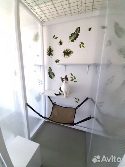 Передержка для кошек